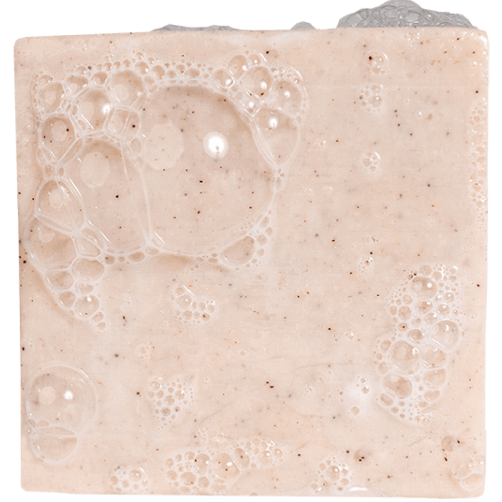 Birchwood Breeze - Image 8