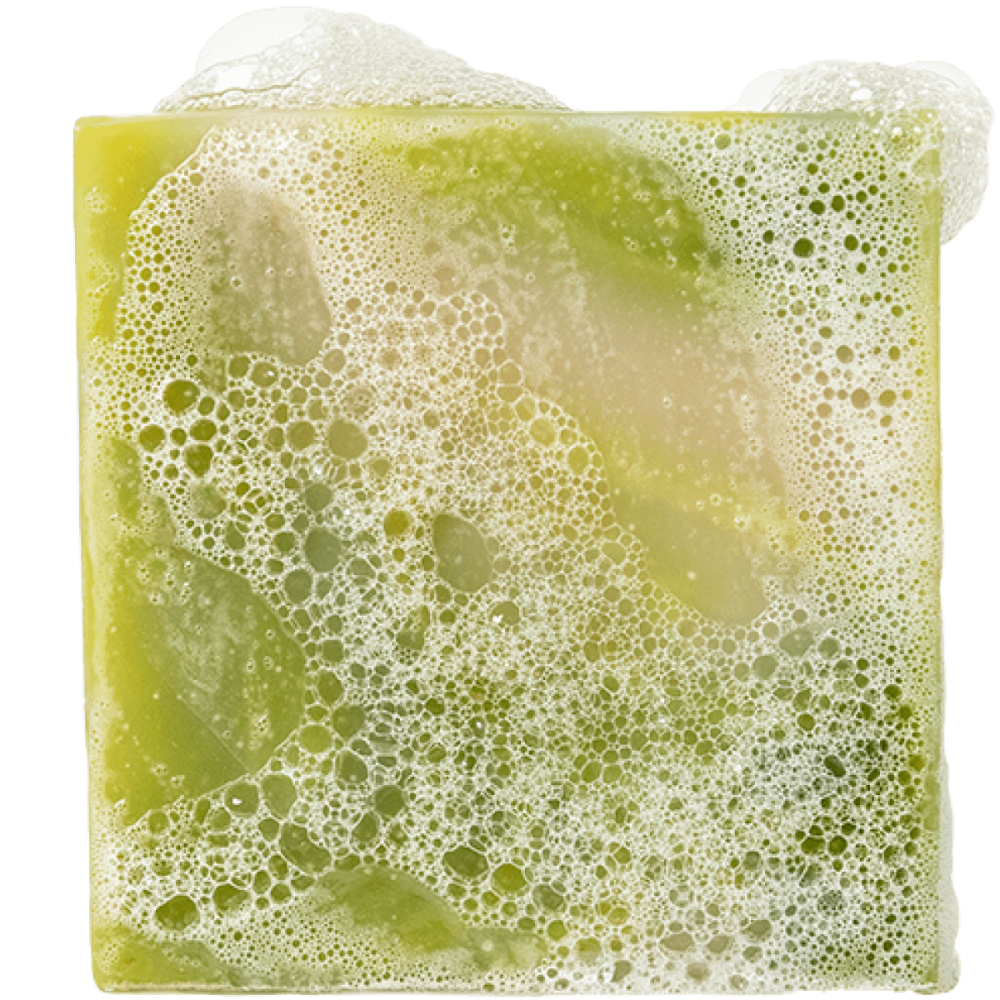 Cool Fresh Aloe - Image 3